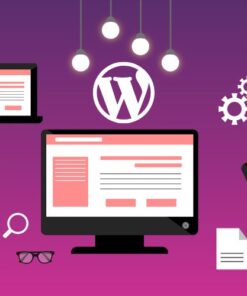 WordPress Development